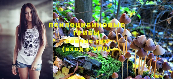 PSILOCYBIN Гусиноозёрск