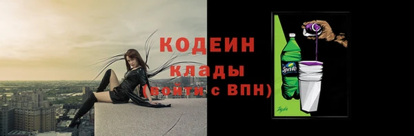 первитин Гусев