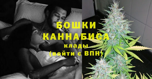 PSILOCYBIN Гусиноозёрск