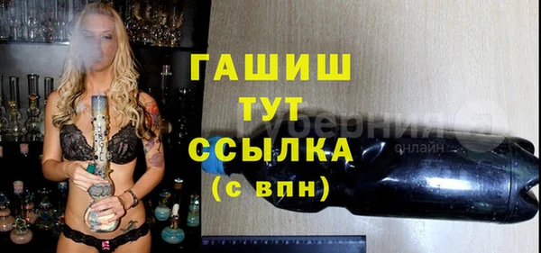 PSILOCYBIN Гусиноозёрск