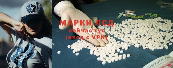 PSILOCYBIN Гусиноозёрск