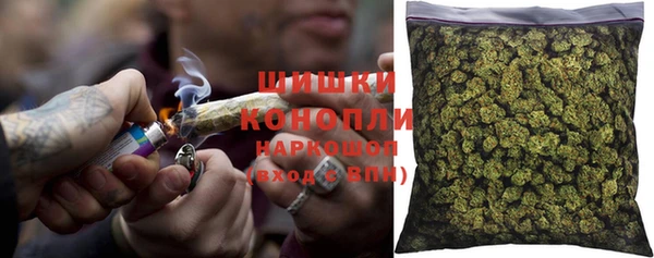 PSILOCYBIN Гусиноозёрск