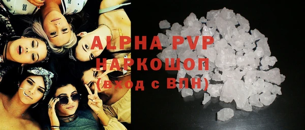 PSILOCYBIN Гусиноозёрск