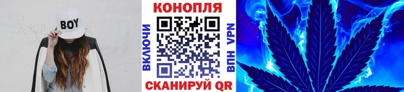 Купить где  Клинцы  Шишки марихуана SATIVA & INDICA 